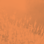 Praxisinfo